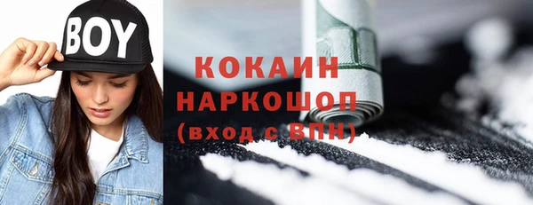 индика Беломорск
