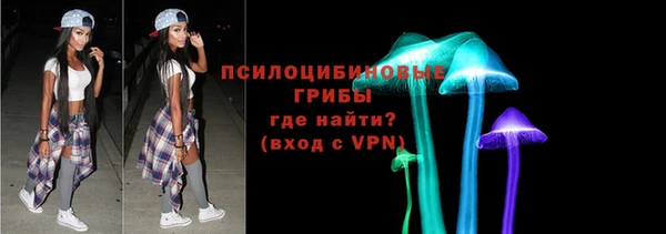 a pvp Белокуриха