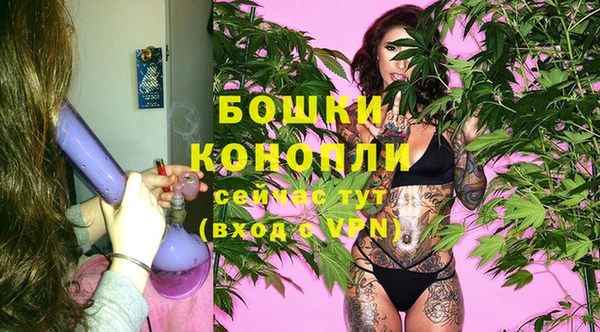 индика Беломорск