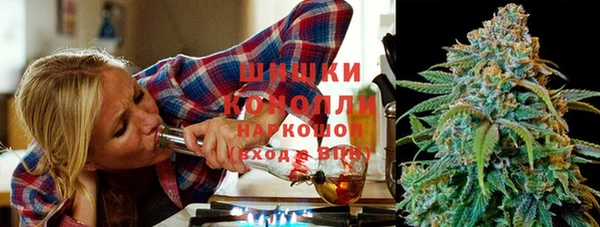 индика Беломорск