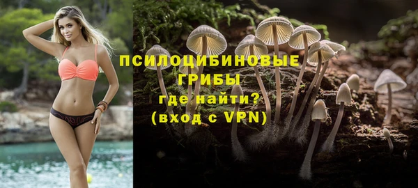a pvp Белокуриха
