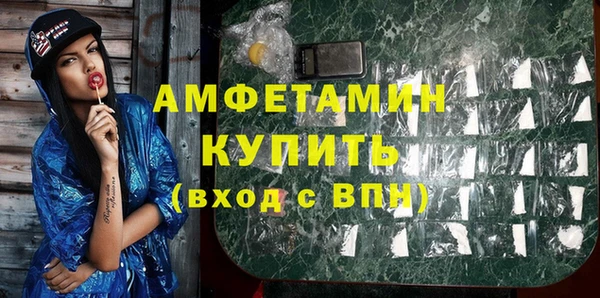 индика Беломорск