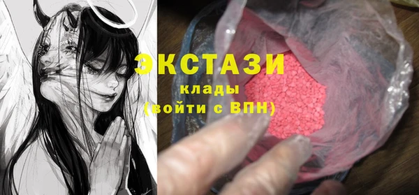 индика Беломорск